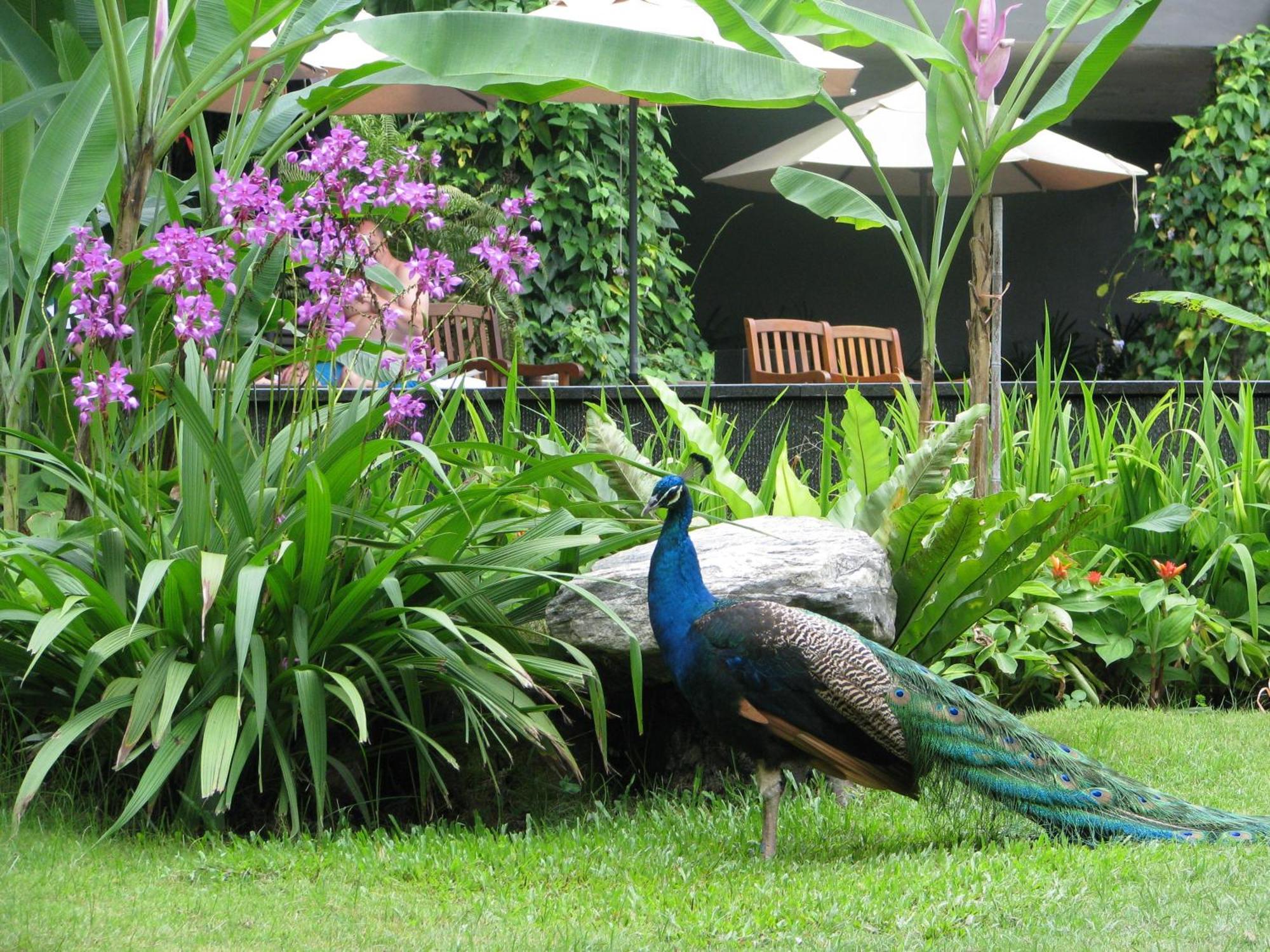 Siloso Beach Resort - Sentosa Szingapúr Kültér fotó