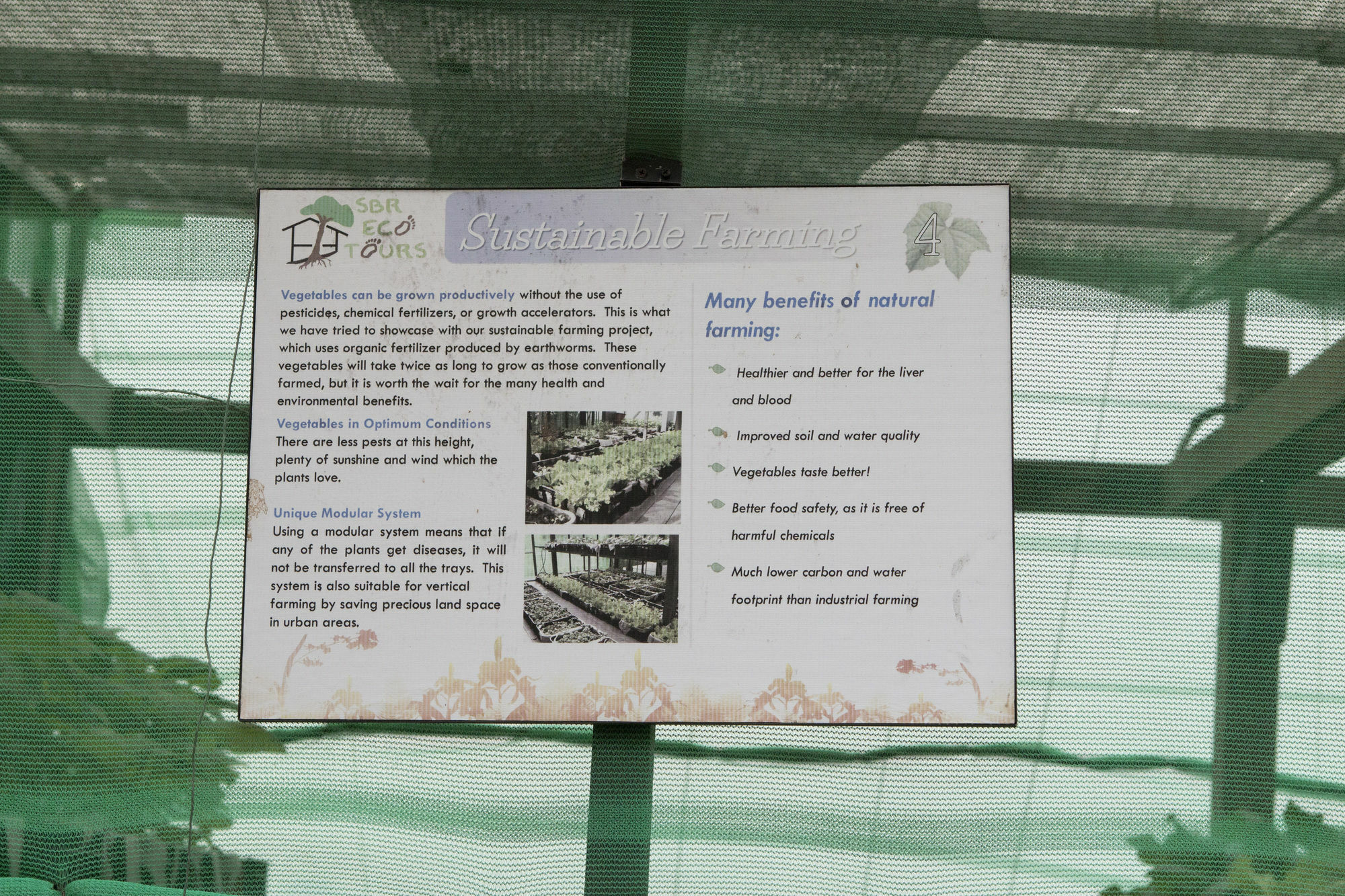 Siloso Beach Resort - Sentosa Szingapúr Kültér fotó